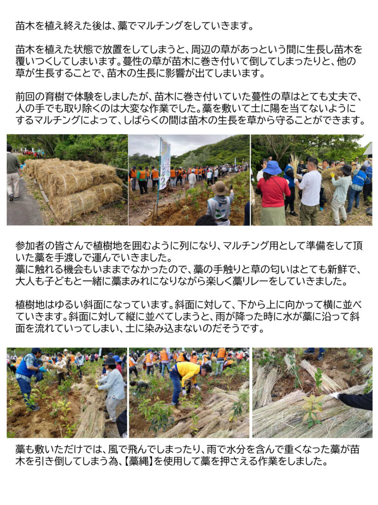 湘南国際村めぐりの森植樹祭