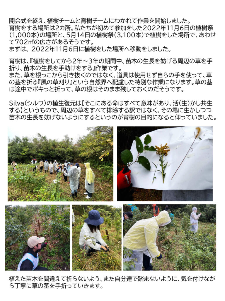 第25回 湘南国際村めぐりの森 植樹&育樹祭