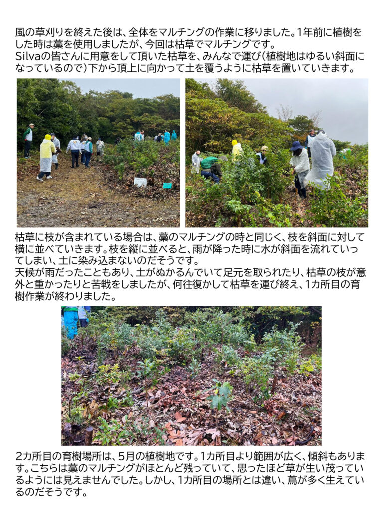 第25回 湘南国際村めぐりの森 植樹&育樹祭